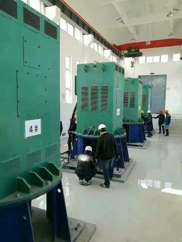 Y6303-2某污水处理厂使用我厂的立式高压电机安装现场