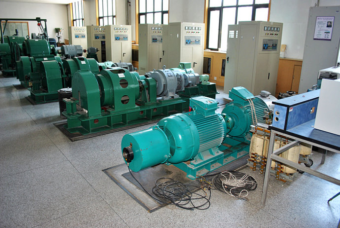 Y6303-2某热电厂使用我厂的YKK高压电机提供动力